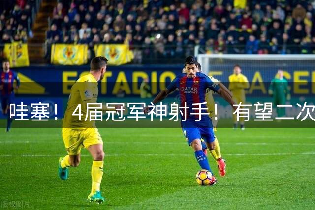哇塞！4届冠军神射手！有望二次联手东契奇