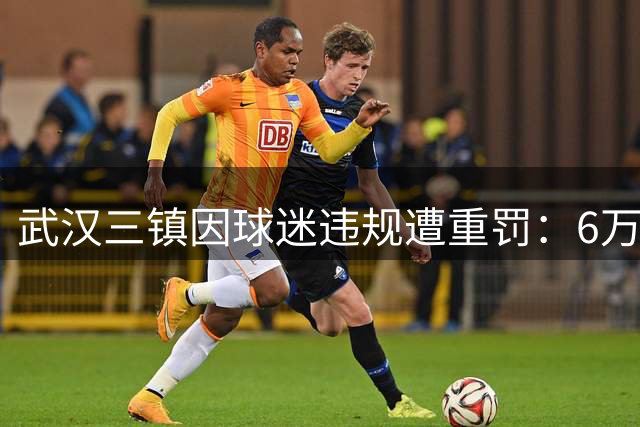 武汉三镇因球迷违规遭重罚：6万元罚款加看台空场
